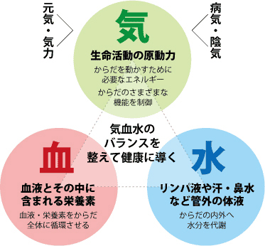 血液循環法の領域は全身におよびます